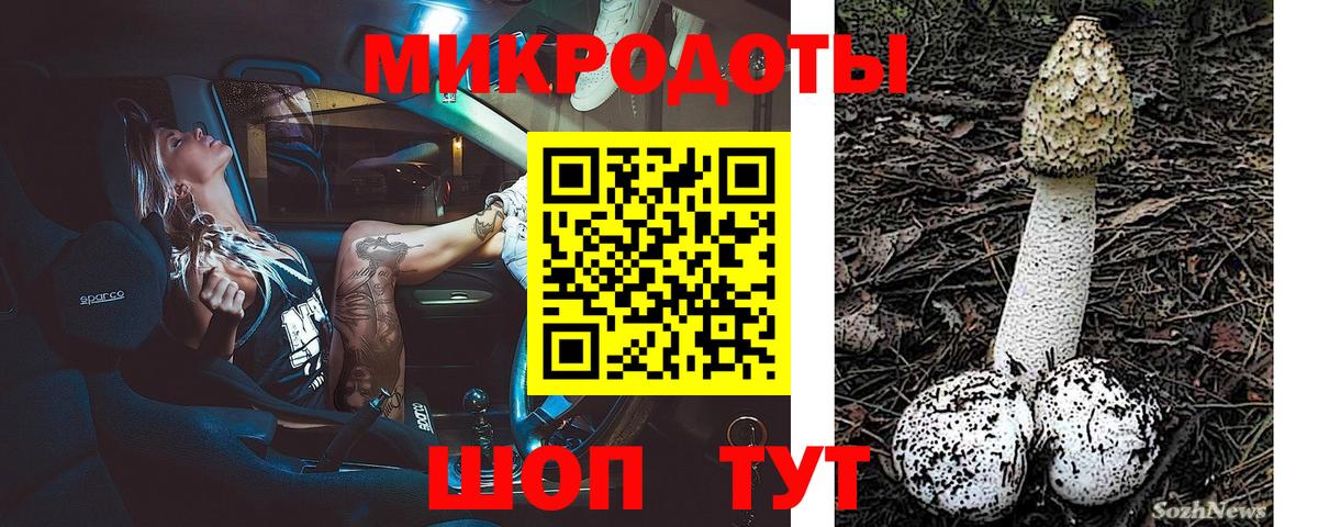Псилоцибиновые грибы MAGIC MUSHROOMS  Вход с VPN  Реж 