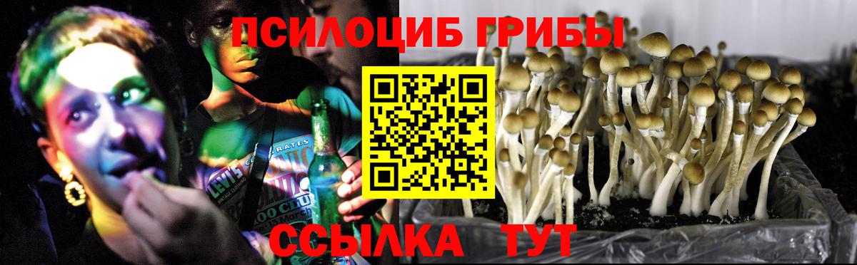 Псилоцибиновые грибы MAGIC MUSHROOMS Реж